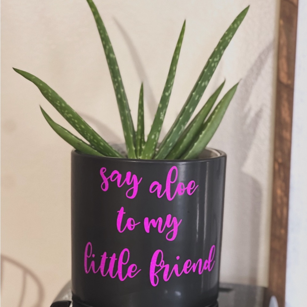 Plant pot 🪴